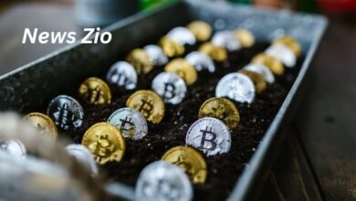 crypto30x com zeus