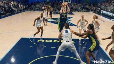 dallas wings vs minnesota lynx match player stats