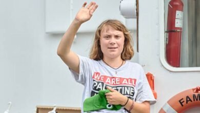 greta thunberg net worth