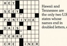 hawaii and tennessee nyt crossword